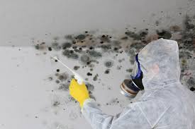 Best Mold Remediation for Healthcare Facilities  in Pierce City, MO